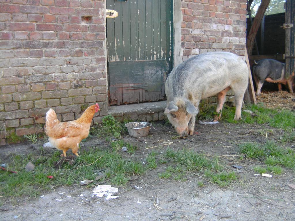 Farm Stay Luythoeve Meeuwen المظهر الخارجي الصورة